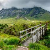 Along the West Highland Way. A wooden walkway at the foot of Devil's stair