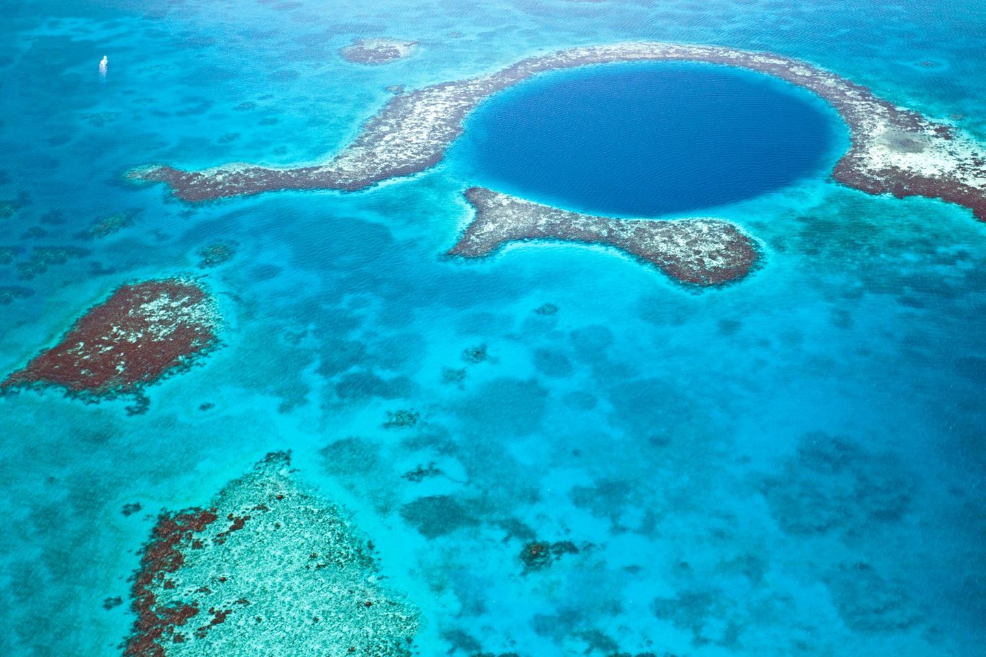 Belize-Barrier-Riff und Blue Hole: die vielfältige Unterwasserwelt entdecken Das Blue Hole im Belize-Barrier-Riff ist einer des beliebtesten Tauchspots des Landes.