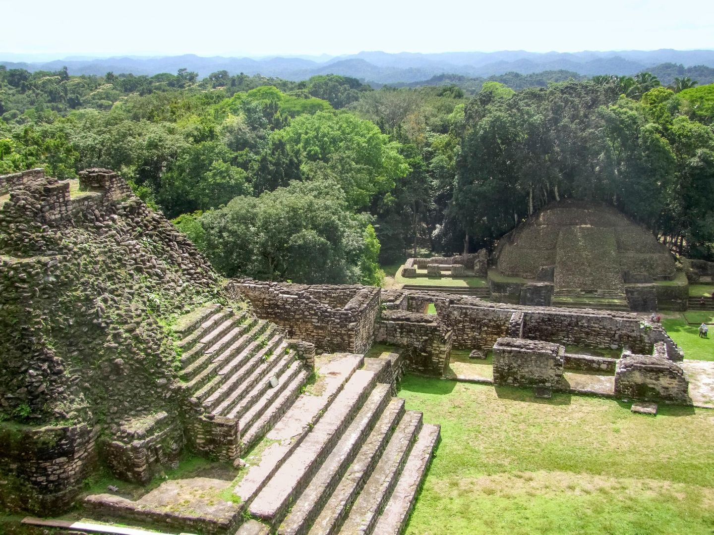 Mitten im Dschungel: Belizes größte Mayastätte Caracol Caracol in Belize