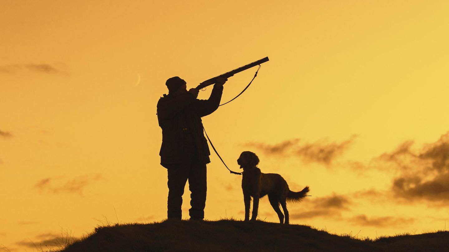 Natur und Umwelt: Trotz Gesundheitsrisiken: Bleimunition wird weiter zur Jagd eingesetzt