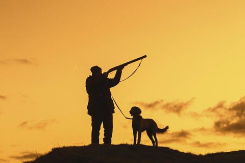 Jäger in der Wiese bei Sonnenuntergang