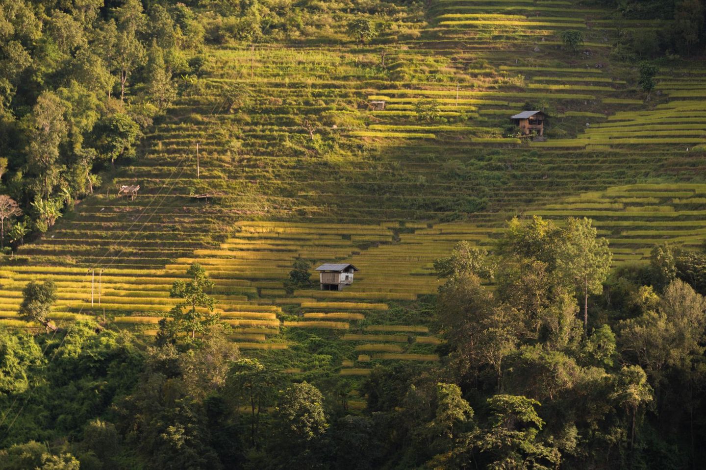 Terrassen mit Wachhütte