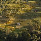 Terrassen mit Wachhütte