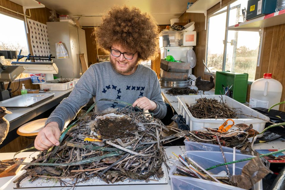 Auke-Florian Hiemstra untersucht Vogelnester von Blässhühnern. Recycelter Plastikabfall ermöglicht es Blässhühnern, mitten in Großstädten zu nisten