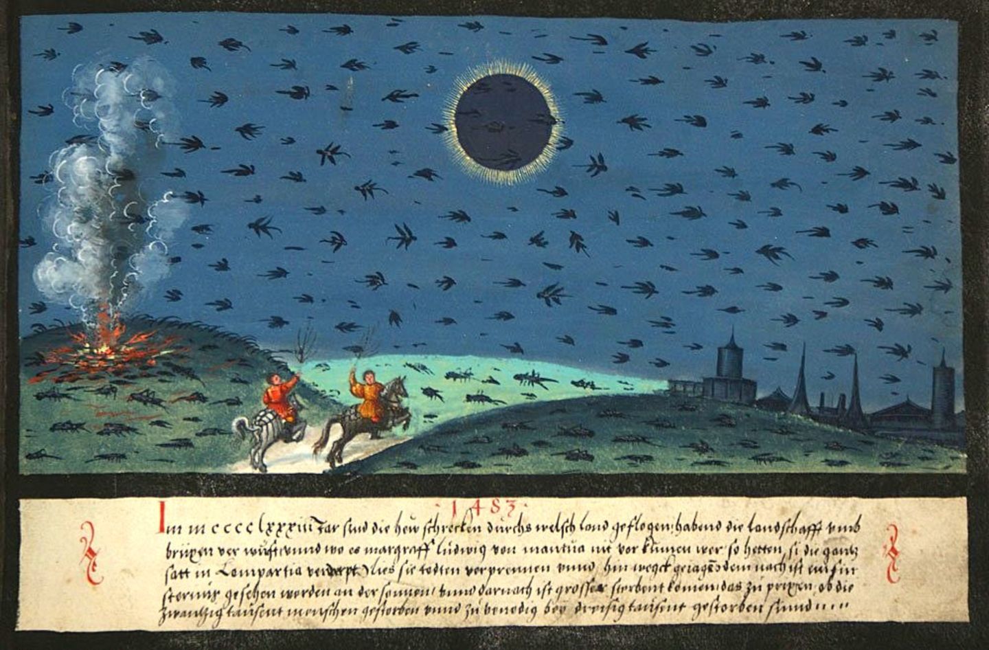 Kampf gegen Heuschrecken Heuschrecken fliegen über Felder