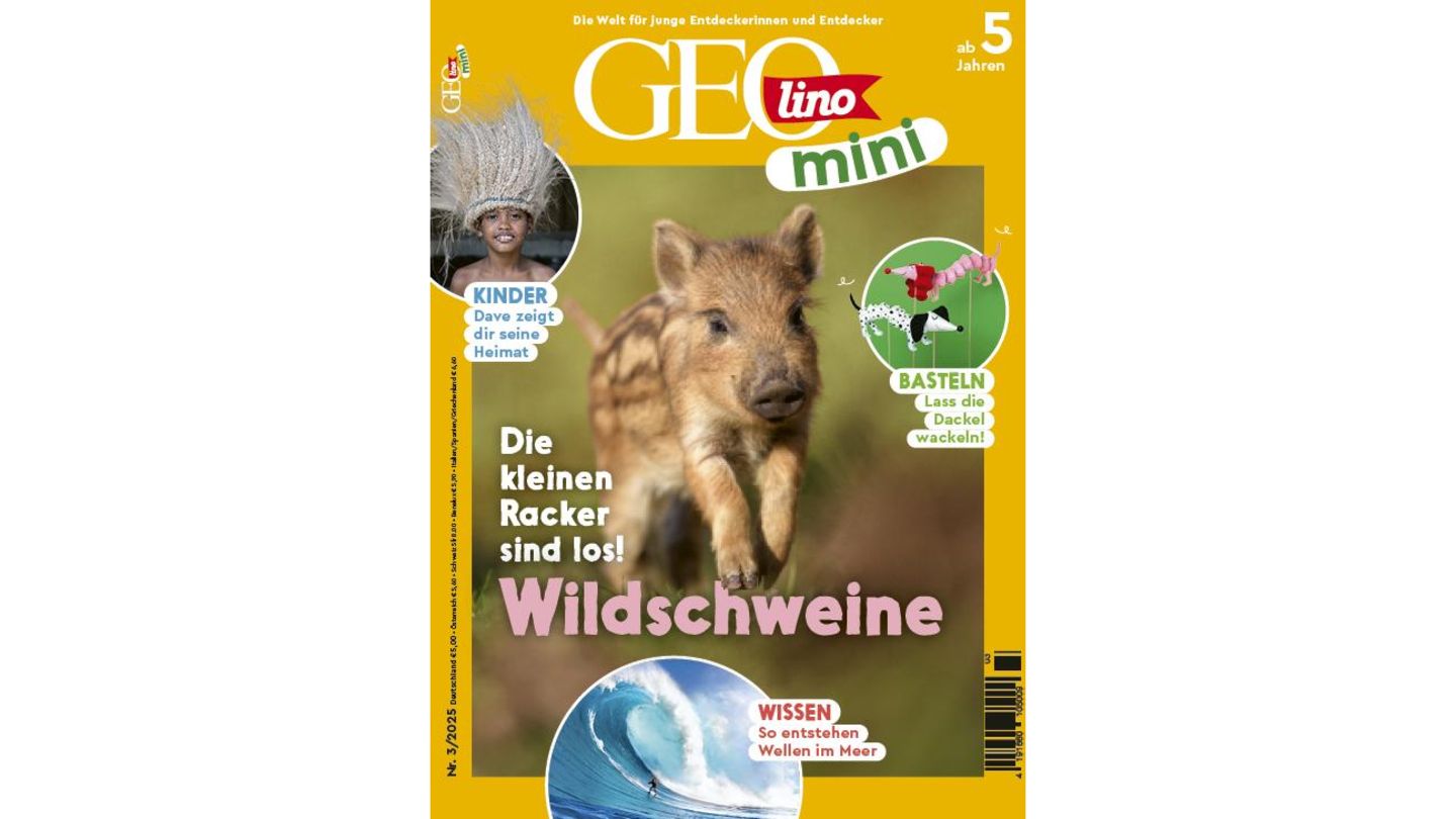 GEOlino Mini: Wildschweine