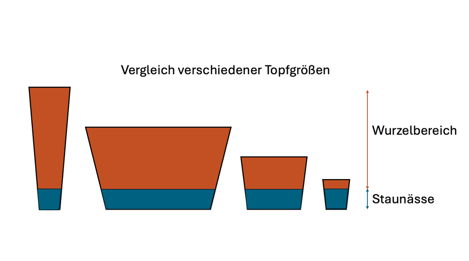 Drainage im Blumentopf: Illustration verschieder Topfgrößen Drainage im Blumentopf: Illustration verschieder Topfgrößen
