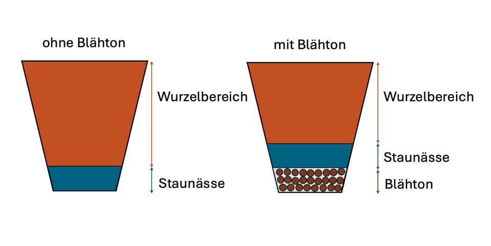 Illustration der Drainage im Blumentopf mit und ohne Blähton Illustration der Drainage im Blumentopf mit und ohne Blähton