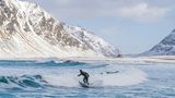 Winter Surfer in den Lofoten