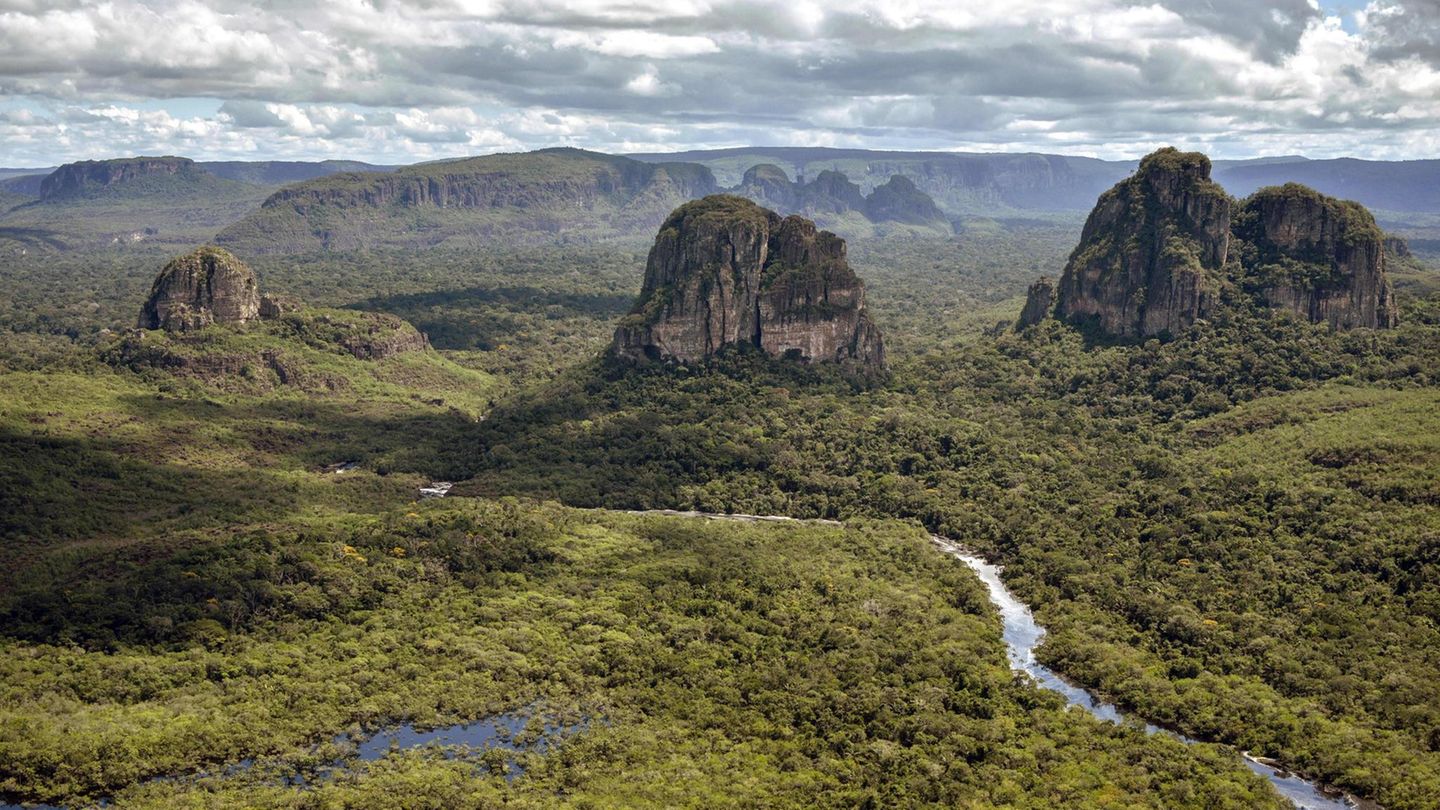 Archäologie: Bilder für die Götter: Eine Expedition zur Sixtinischen Kapelle von Amazonien | GEOplus