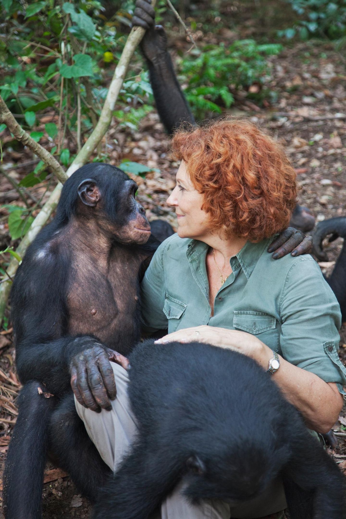 Bonobos mit Claudine Andre , der Gründerin der Rettungsstation Lola Ya Bonobo-Schimpanse Demokratische Republik Kongo
