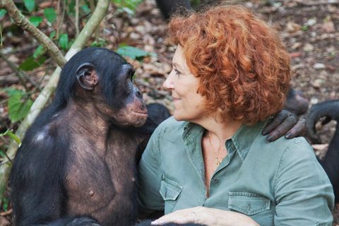 Bonobos mit Claudine Andre , der Gründerin der Rettungsstation Lola Ya Bonobo-Schimpanse Demokratische Republik Kongo