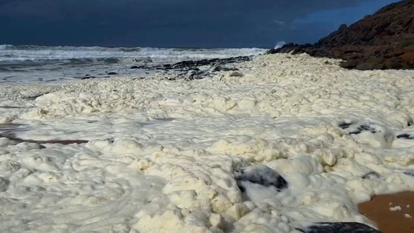 Australien: Gelber Schaum, tote Tiere und kranke Surfer: Naturphänomen sorgt für Aufsehen