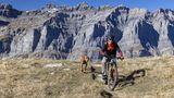 Biker mit Hund in der Schweiz