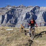 Biker mit Hund in der Schweiz