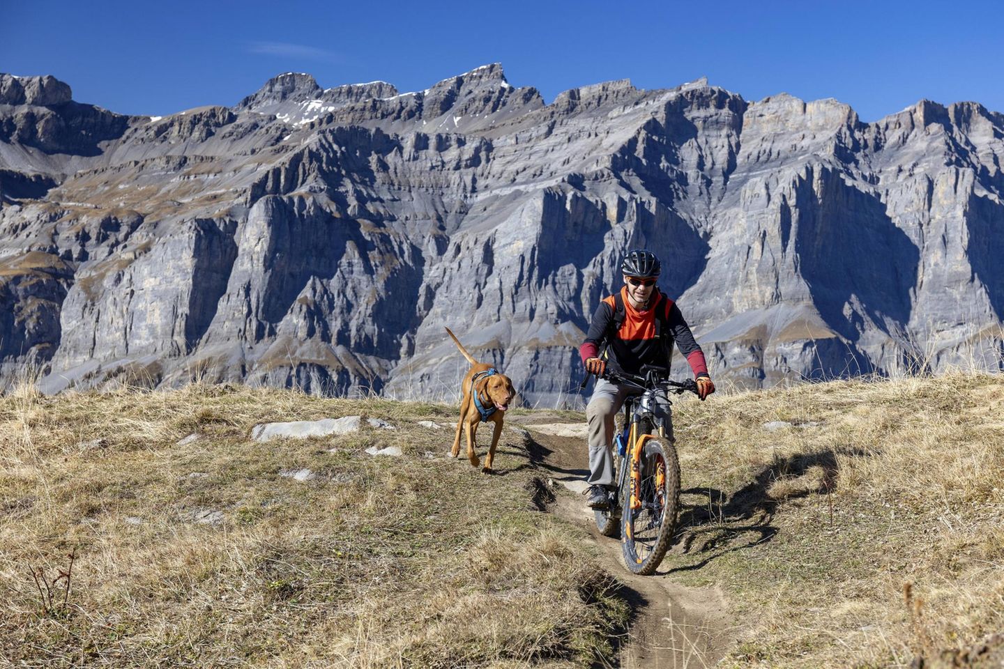 Hoch hinaus mit Hund Biker mit Hund in der Schweiz
