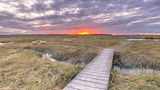 Holzbohlenwege durch das Naturschutzgebiet Verdronken Land mit Sonnenuntergang