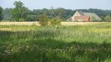 Naturschutzgebiet auf der Halbinsel Zuid Beveland
