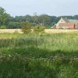 Naturschutzgebiet auf der Halbinsel Zuid Beveland