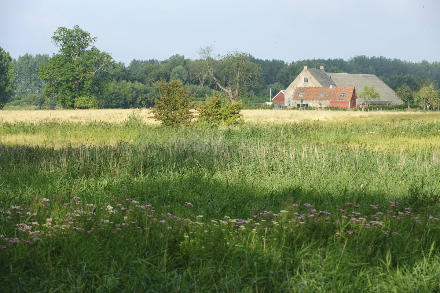 Naturschutzgebiet auf der Halbinsel Zuid Beveland