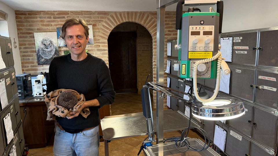 Tierarzt Massimo Vacchetta mit Igel in den Händen