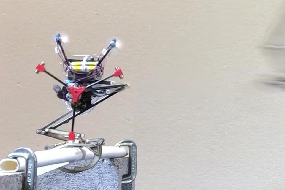 Eichhörnchen-Roboter 1.5199