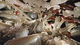 Cueva de los Cristales
