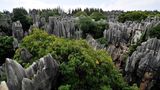 Steinerner Wald (Shilin), China