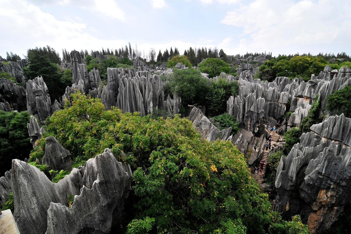 Steinerner Wald (Shilin) in China Steinerner Wald (Shilin), China
