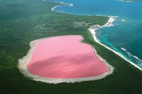 Luftaufnahme des Pink Lake in Australien