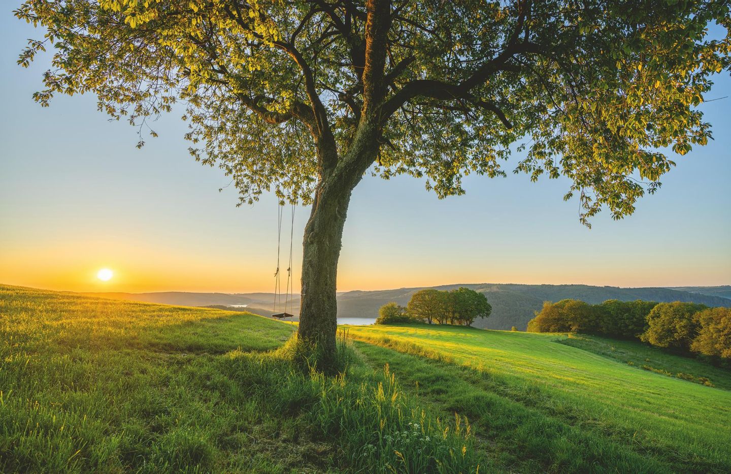 Idyllisch in der Natur gelegen findet man den Rursee zwischen Monschau und Düren in der Nordeifel. Auch die Rur ist Gegenstand zahlreicher Sagen aus der Region. Überlieferungen berichten etwa von Nymphen und Flussgeistern, die Reisende dort ins Wasser locken wollen. Trotz der alten Geschichten zieht es heute Wildwassersporterinnen und -sportler aus aller Welt im Frühjahr nach Monschau. 