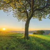 Idyllisch in der Natur gelegen findet man den Rursee zwischen Monschau und Düren in der Nordeifel. Auch die Rur ist Gegenstand zahlreicher Sagen aus der Region. Überlieferungen berichten etwa von Nymphen und Flussgeistern, die Reisende dort ins Wasser locken wollen. Trotz der alten Geschichten zieht es heute Wildwassersporterinnen und -sportler aus aller Welt im Frühjahr nach Monschau. 