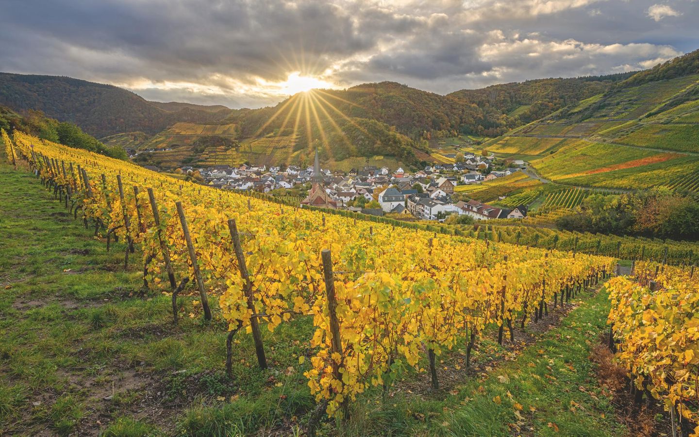 Blankenheim im Ahrtal Hier liegt die Quelle der Ahr, im Keller eines Fachwerkhauses: Blankenheim beherbergt ein einzigartiges Naturwunder in historischer Kulisse. Das gesamte Ahrtal zieht sich von Blankenheim bis nach Sinzig und beherbergt reichlich historische und kulturelle Schätze. Die Weinbaugeschichte des Tals reicht bis in die Römerzeit zurück. Städte wie Bad Neuenahr oder auch Altenahr sind bekannt für ihre Sehenswürdigkeiten, darunter imposante Burgen, malerische Fachwerkhäuser und einladende Marktplätze. Die Region ist zudem berühmt für ihre Thermalquellen.