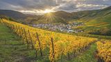 Hier liegt die Quelle der Ahr, im Keller eines Fachwerkhauses: Blankenheim beherbergt ein einzigartiges Naturwunder in historischer Kulisse. Das gesamte Ahrtal zieht sich von Blankenheim bis nach Sinzig und beherbergt reichlich historische und kulturelle Schätze. Die Weinbaugeschichte des Tals reicht bis in die Römerzeit zurück. Städte wie Bad Neuenahr oder auch Altenahr sind bekannt für ihre Sehenswürdigkeiten, darunter imposante Burgen, malerische Fachwerkhäuser und einladende Marktplätze. Die Region ist zudem berühmt für ihre Thermalquellen.