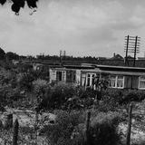 Flachbau in einem verwilderten Garten