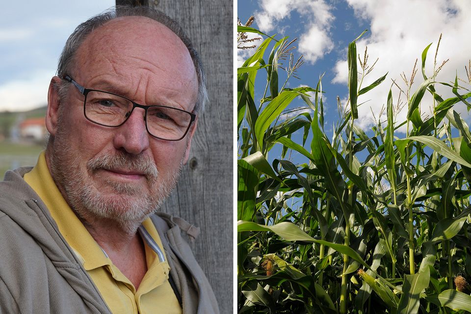 Landwirtschaftsmeister Hubert Roßkothen sprühte auf seine Maisäcker auch Wirkstoffe, die heute verboten sind, darunter Atrazin. Der Stoff erhöht das Risiko, an Parkinson zu erkranken 1.4989
