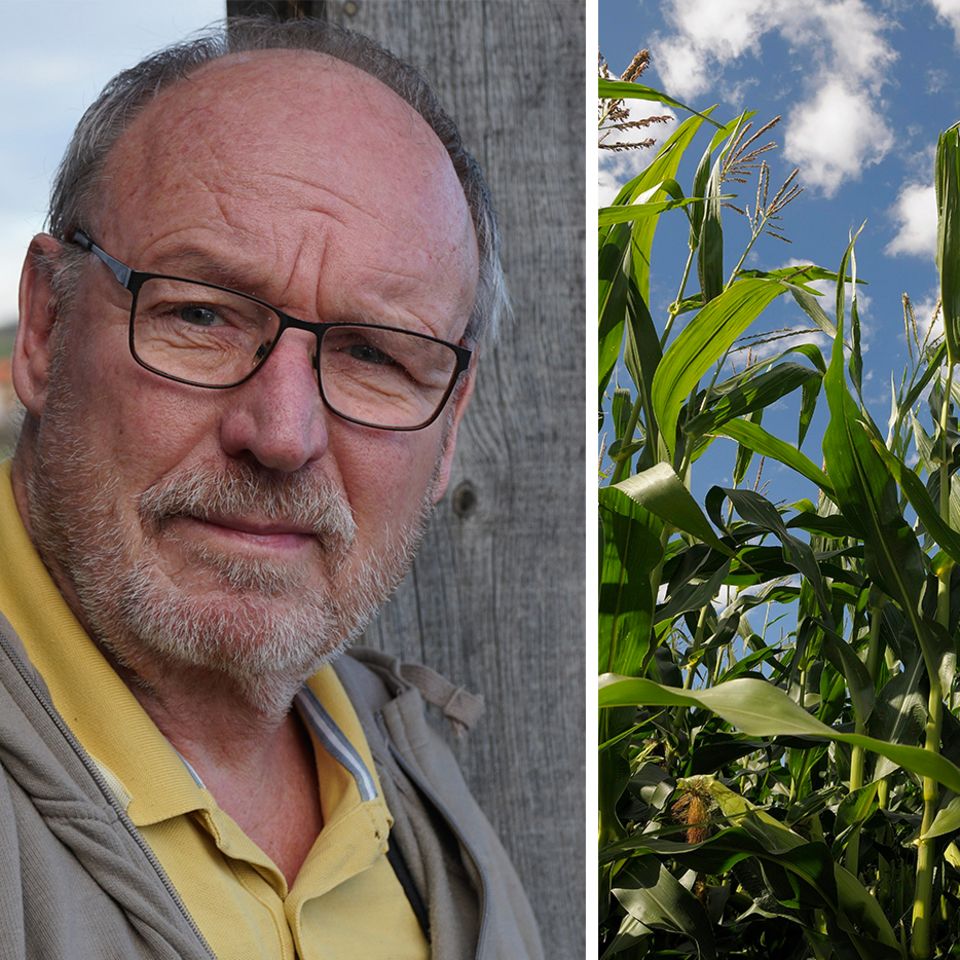 Landwirtschaftsmeister Hubert Roßkothen sprühte auf seine Maisäcker auch Wirkstoffe, die heute verboten sind, darunter Atrazin. Der Stoff erhöht das Risiko, an Parkinson zu erkranken