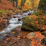 The Ilse River flowing through the Ilse Valley with autumn leaves in Harz National Park, Saxony-Anhalt, Germany.
