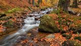 The Ilse River flowing through the Ilse Valley with autumn leaves in Harz National Park, Saxony-Anhalt, Germany.