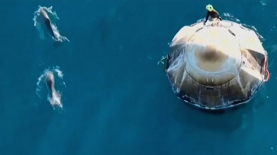 Nach neun Monaten im All: Delfine begrüßen gestrandete Astronauten zurück auf der Erde
