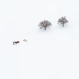 Schneelandschaft mit Mann, Pferd und zwei Hunden