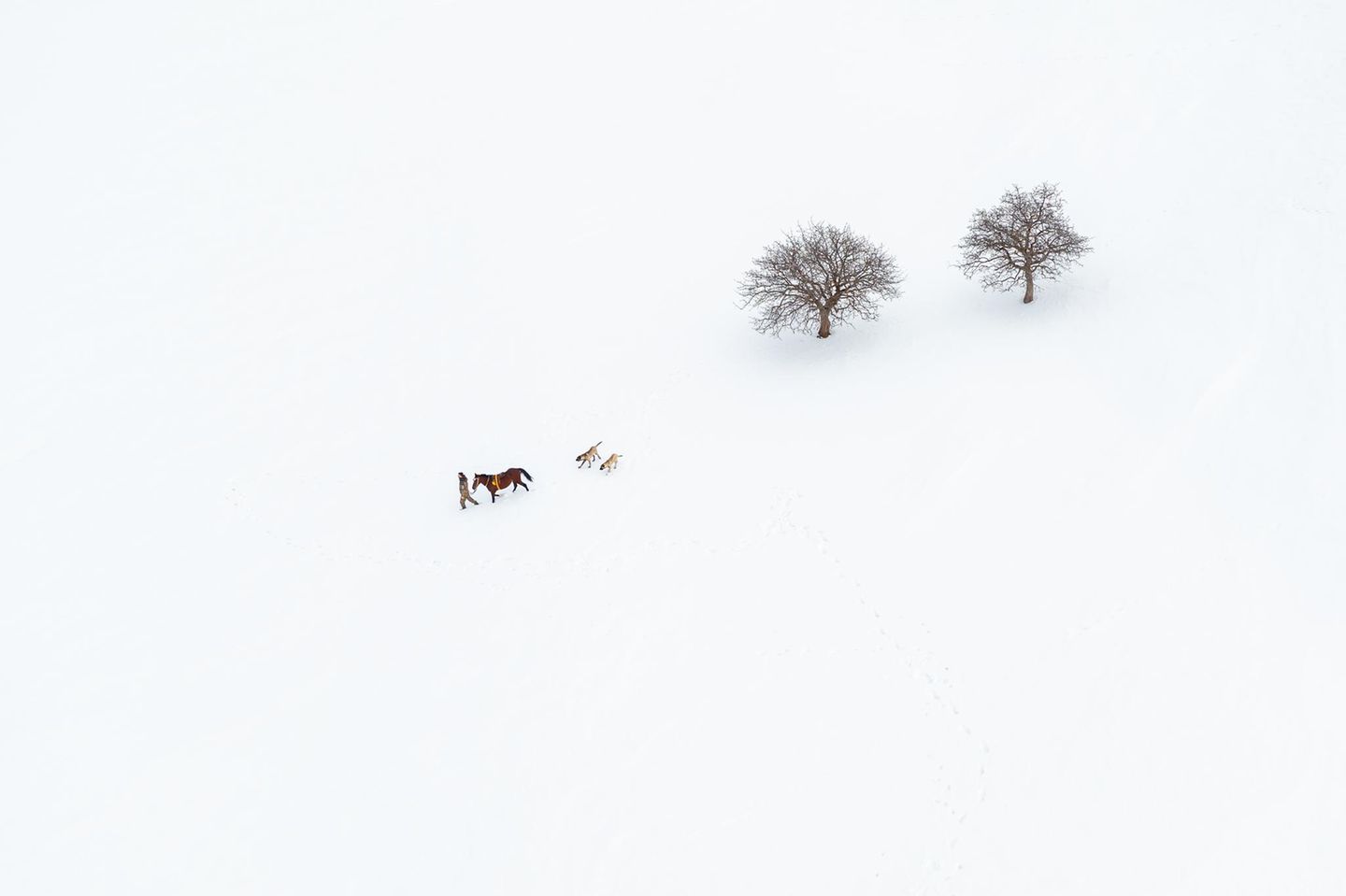 Schneelandschaft Schneelandschaft mit Mann, Pferd und zwei Hunden