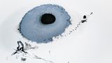 Kranich im Schnee
