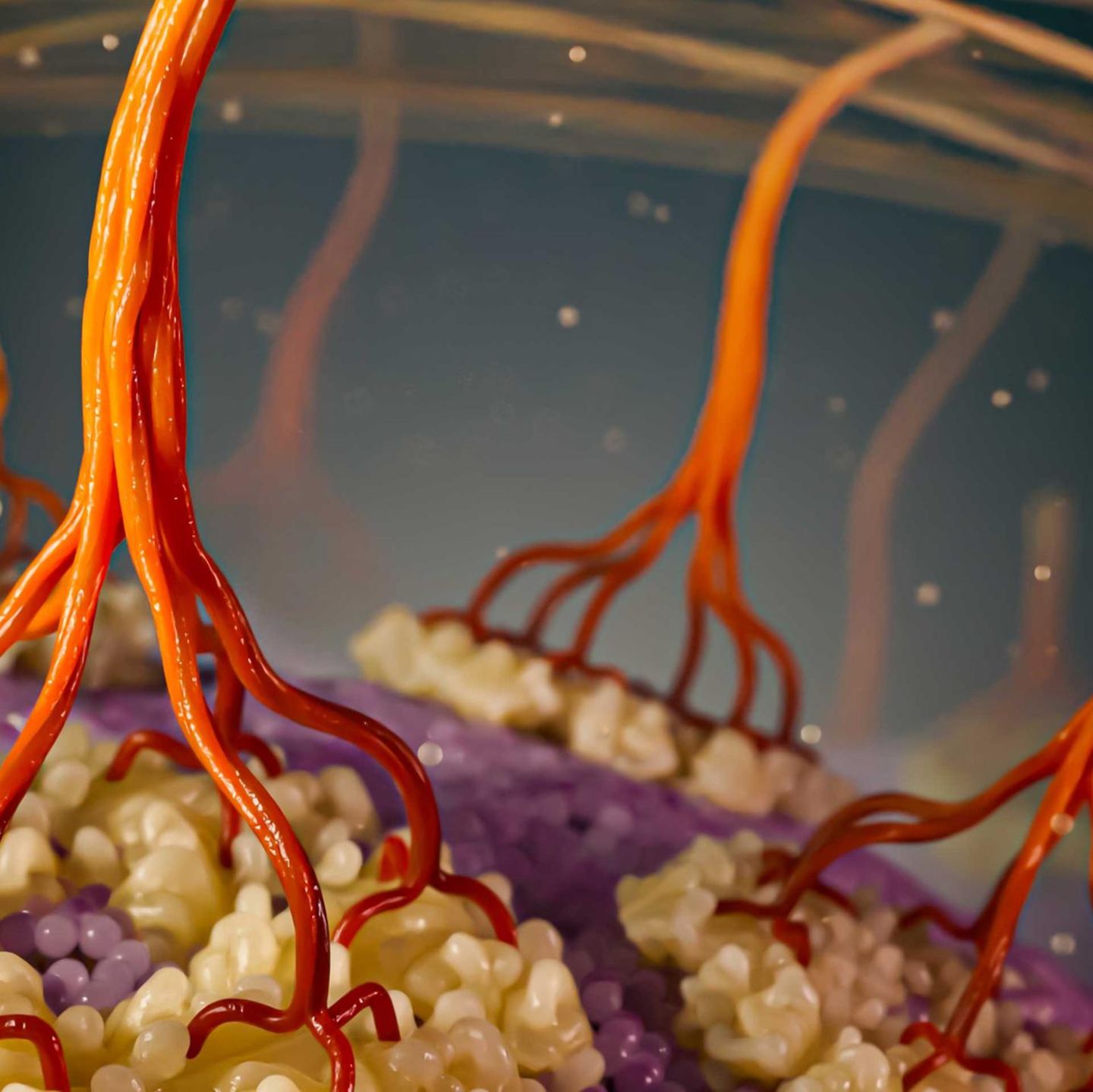3D-Illustration: Dank fortschrittlicher Technik können Wissenschaftler den Prozess beobachten, bei dem Pflanzenzellen Zellulosefasern erzeugen