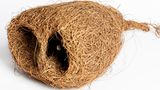 Webervogelnest