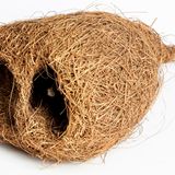 Webervogelnest