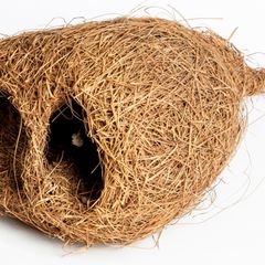 Webervogelnest