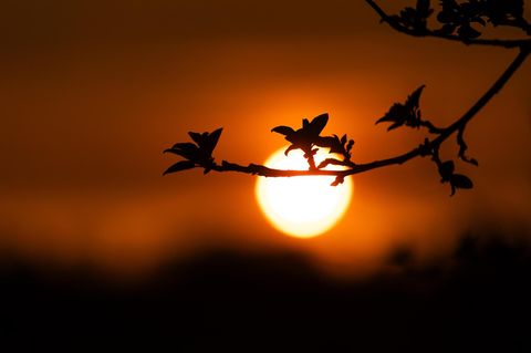 In großen Teilen Deutschlands hat es im März 2025 nicht nur zu wenig geregnet. Es war auch ungewöhnlich sonnig
