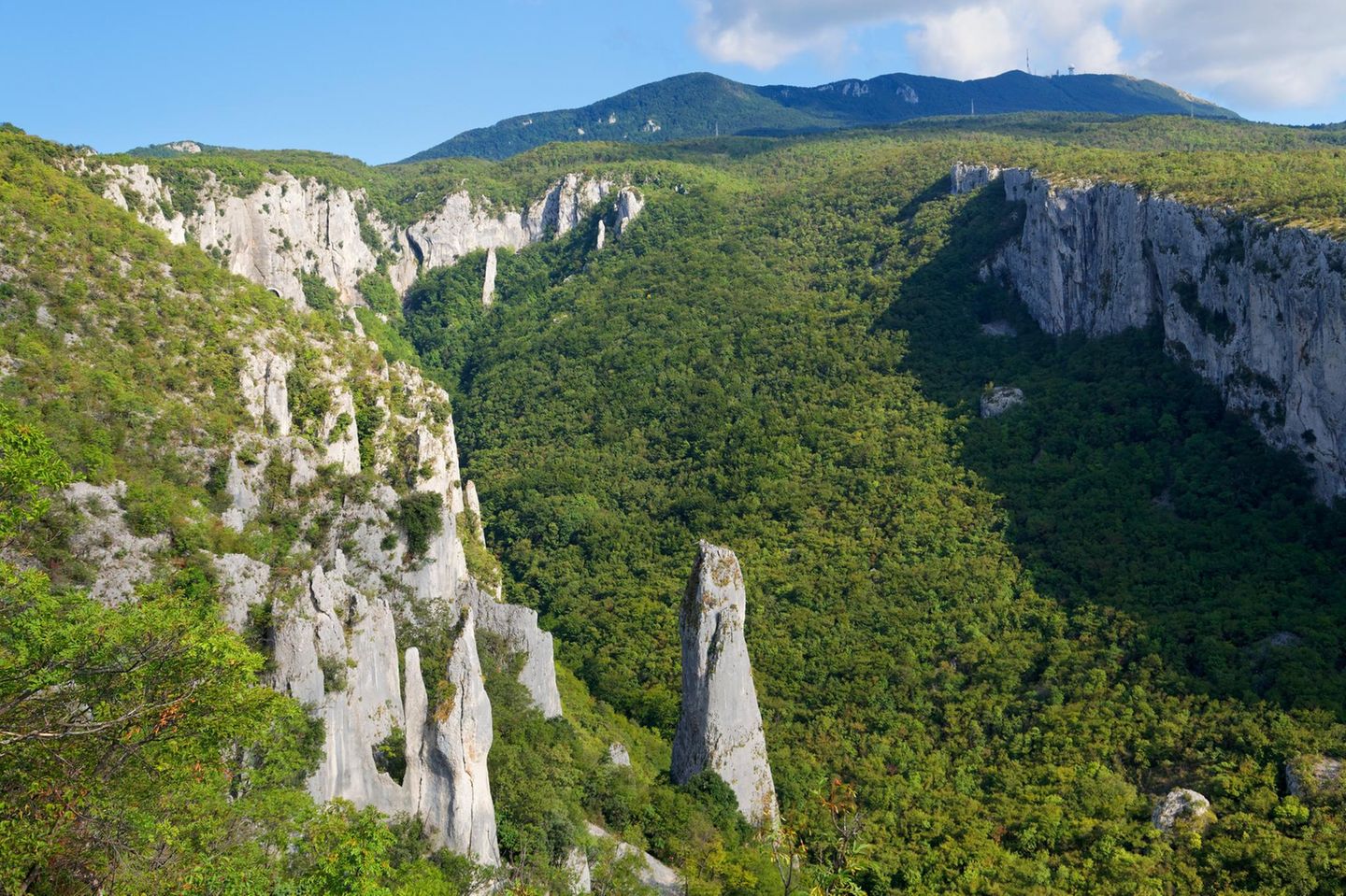 Učka Naturpark: beste Aussichten für Wanderer Steile Felsen mit viel Wald und Macchia dazwischen