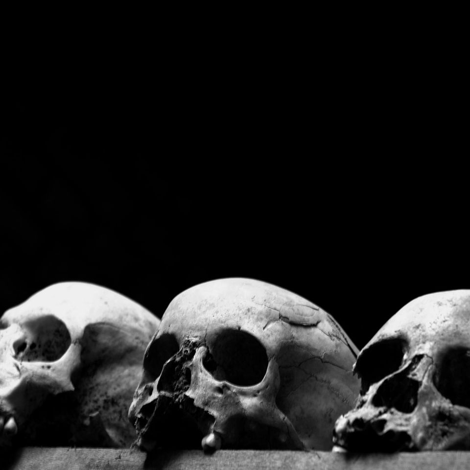 Drei Schädel am unteren Bildrand sind hell ausgeleuchtet. Der Rest des Bildes ist schwarz.